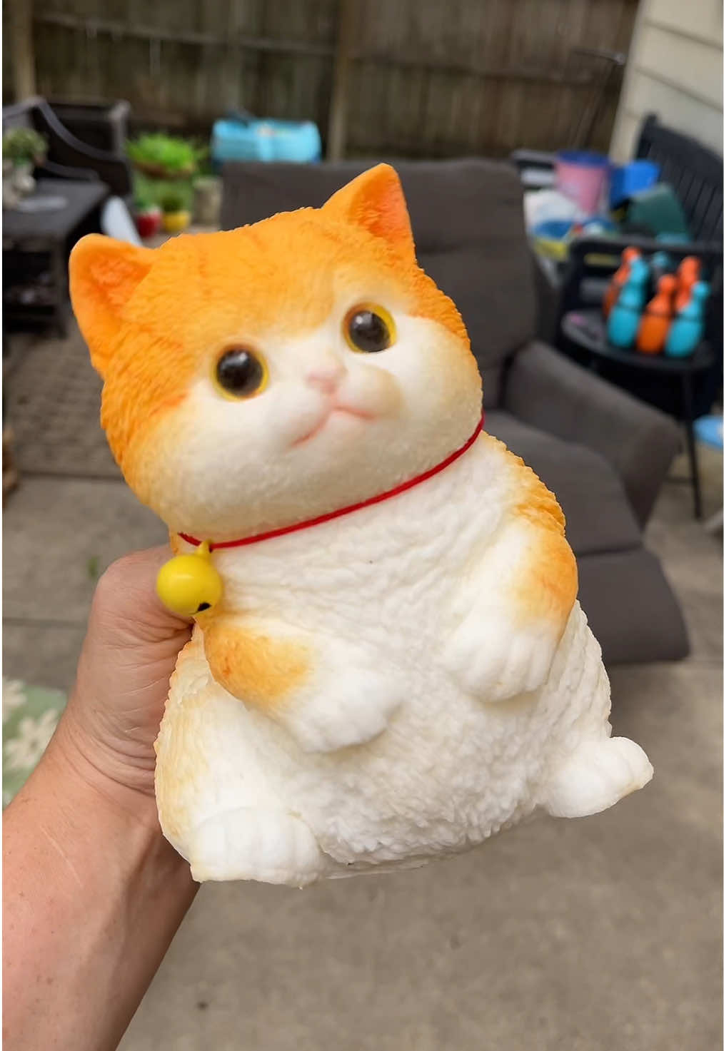 #cat #squishy #asmr 