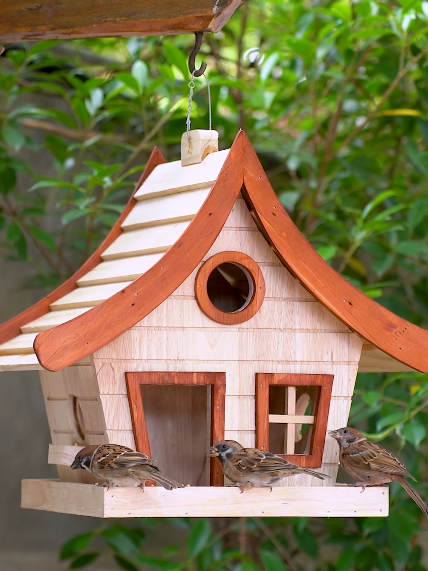 DIY Adorable Bird Feeder