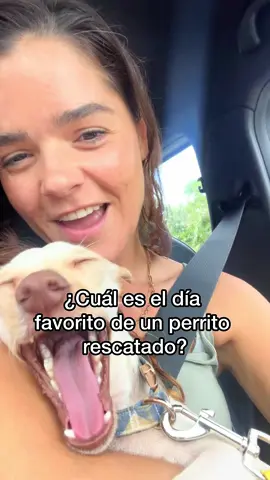 Adivinen con qué perritos de la familia Esperanza Animal  se fue Ramona? 😱 Feliz vida chiquita!! 🥹♥️ Vas a ser una perrita muy feliz con tu nueva mamá humana y tus hermanos 🐶 Angie muchísimas gracias por llevar a Ramoncitaaaa  Y muchas gracias Eri por darle la oportunidad a mi niña de tener una familia feliz!! 🥰♥️