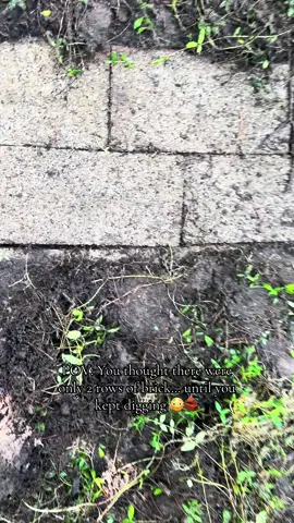 Thought I was uncovering two rows of brick… SURPRISE THIRD ROW 😫 Homeownership is just adult archaeology now. - - - - #HomeOwnerLife #LandscapingTransformation #BeforeAndAfter #DIYLandscaping #BrickPath #YardMakeover #OvergrownNoMore #GardenGlowUp #DiggingForTreasure #HomeRenoTikTok #CottageVibes #WeBoughtAHouse #BackyardGoals #FirstTimeHomeOwner #YardWorkIsHardWork #MysteryBricks #LandscapingSurprise #BrickByBrick #TikTokHomeProjects #FoundUnderTheWeeds