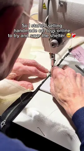Your kind comments are greatly appreciated 🙏🏻❤️ #cat #shelter