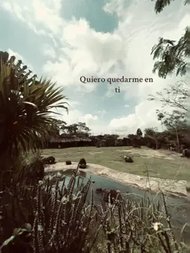Quiero quedarme en Ti🫶🏼 #salsa #musica #viral #youtubemusic #pasion #video #personal #cancion #talento #tiktokponemeenparati #creatorsearchinsights #quieroquedarmeenti #ukumaripereira #pereira 