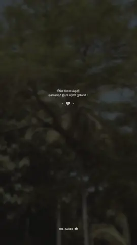 😊🤍💐 #srilankan_tik_tok #foryoupage #viral #fypシ゚viral🖤tiktok #trendingvideo #viral_video #onemilioneaudition #t #viralvideo #tiktok #createforchange