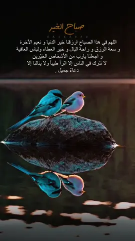 #صباح_الخير 