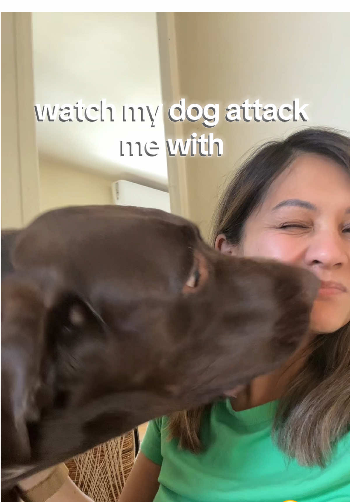 you know you have a labrador when they love to ❤️ 😬 iykyk .. #slobberykisses 