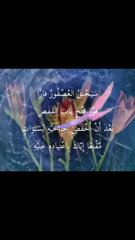 لأن الحر سيظل حرا #كتاباتي #foryoupage #explor #fyp 