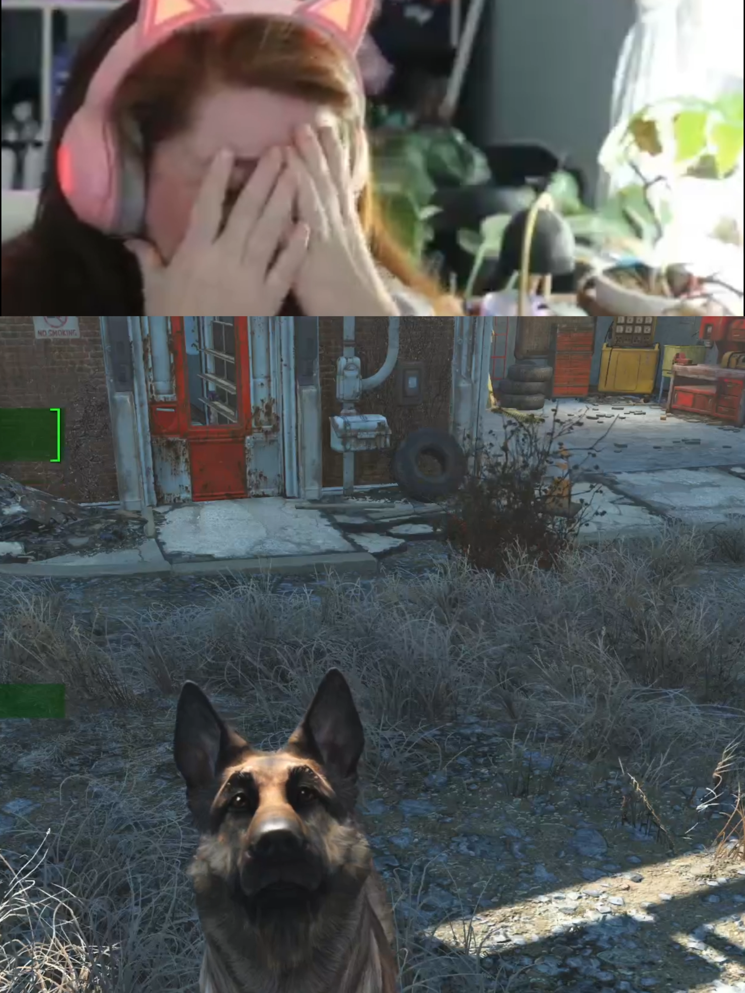 I let my friends pick my Fallout 4 mods. This one changes Dogmeat's bark to 