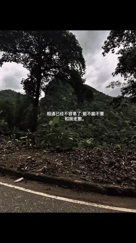 相遇已经不容易了 能不能不要和我走散。#fypシ #相遇 #艾特你想艾特的人 #希望能🔥 谢谢