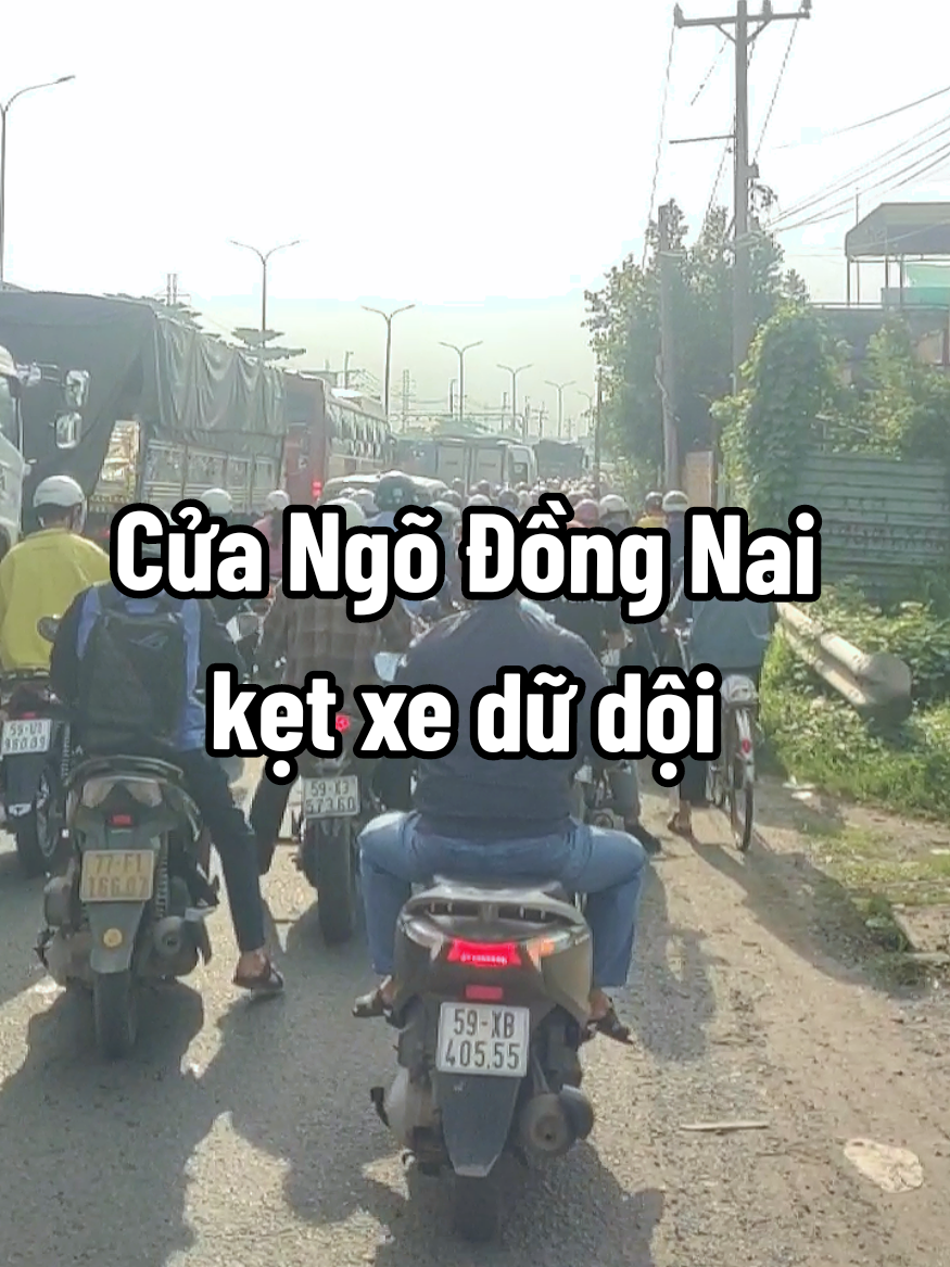 Anh chị em lưu ý khi đi sang địa phần tỉnh Đồng Nai, phương tiện di chuyển rất đông và chậm #thangmenhtho  #quoclo51  #ql51 