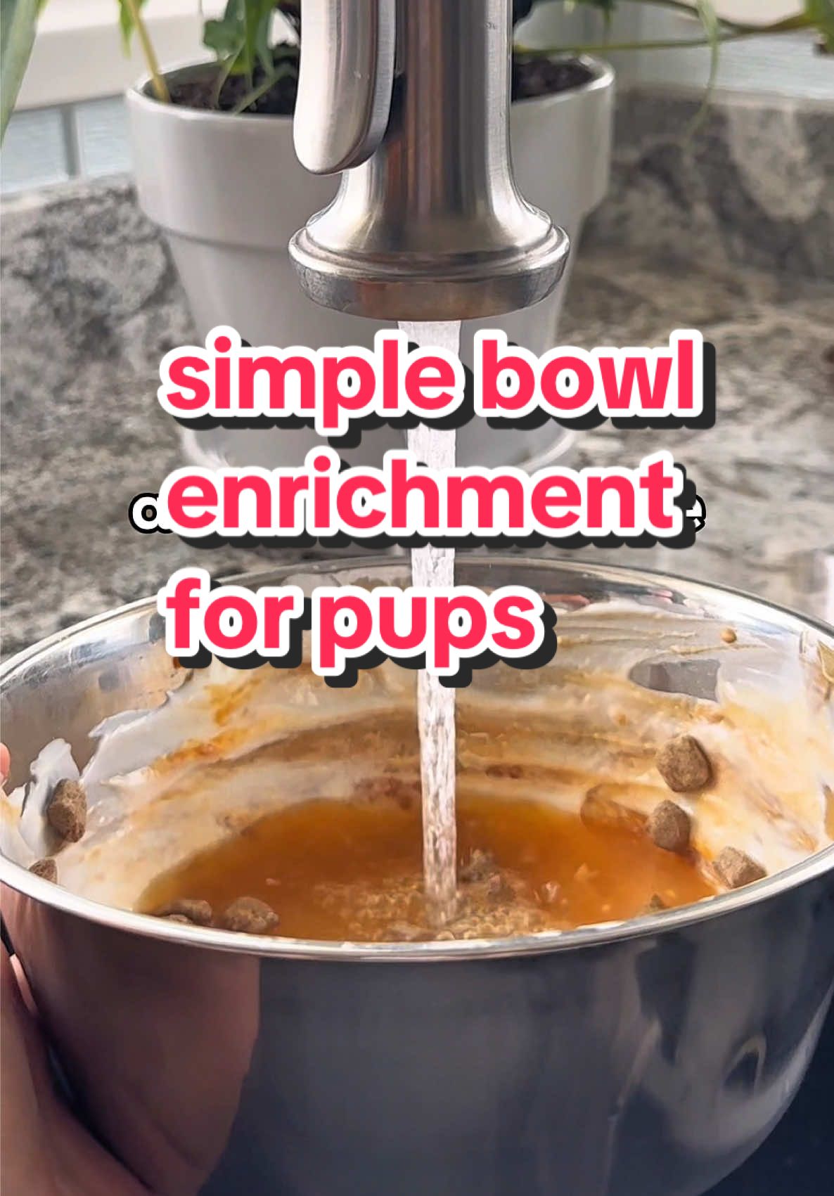 30 minutes of interrupted enrichment time for your pup✨🙌🏼 try this super simple bowl enrichment!  #pupford #bowlenrichment #enrichmentfordogs #summeractivitiesfordogs 