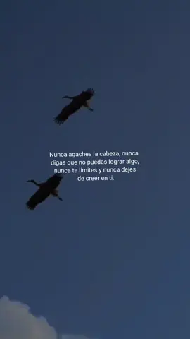 #CapCut #CapCutMotivacional #reflexaododia #Motivacional #motivacionpersonal #mentalidadganadora #camino #grandeza #inspiration #vida 