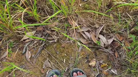 Tempat nyore yang aesthetic yg ndk jauh dri kota kendari🏖️🏔️🌅🏕️🌉🌇 📍 Bukit teletubbis bajo indah, konawe, sulawesi tenggara #healing #kendarisulawesitenggara #fyppppppppppppppppppppppp #bukittletubbies #mlbb #jalanjalan #estetik #senjasorehari #cinematic #aesthetic 