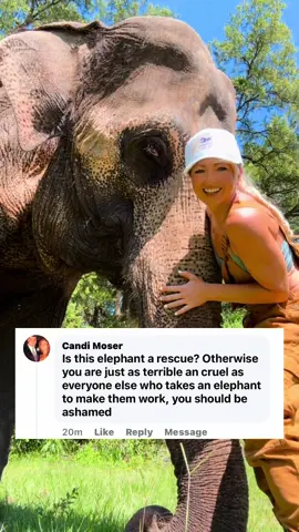 #Elephant #Animal #ElephantLover #FreeContactCare #MyBestFriendIsAnElephant #interspeciesfamily #AnimalLover #TikTok #ElephantCare 