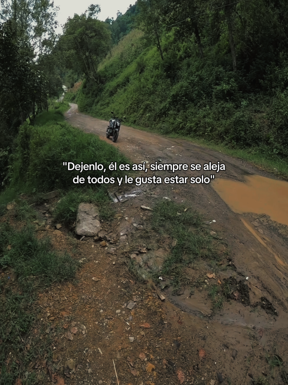 Verdad?  #elrepabipolar #fyp #gopro #250z #motos #naturaleza #parati 