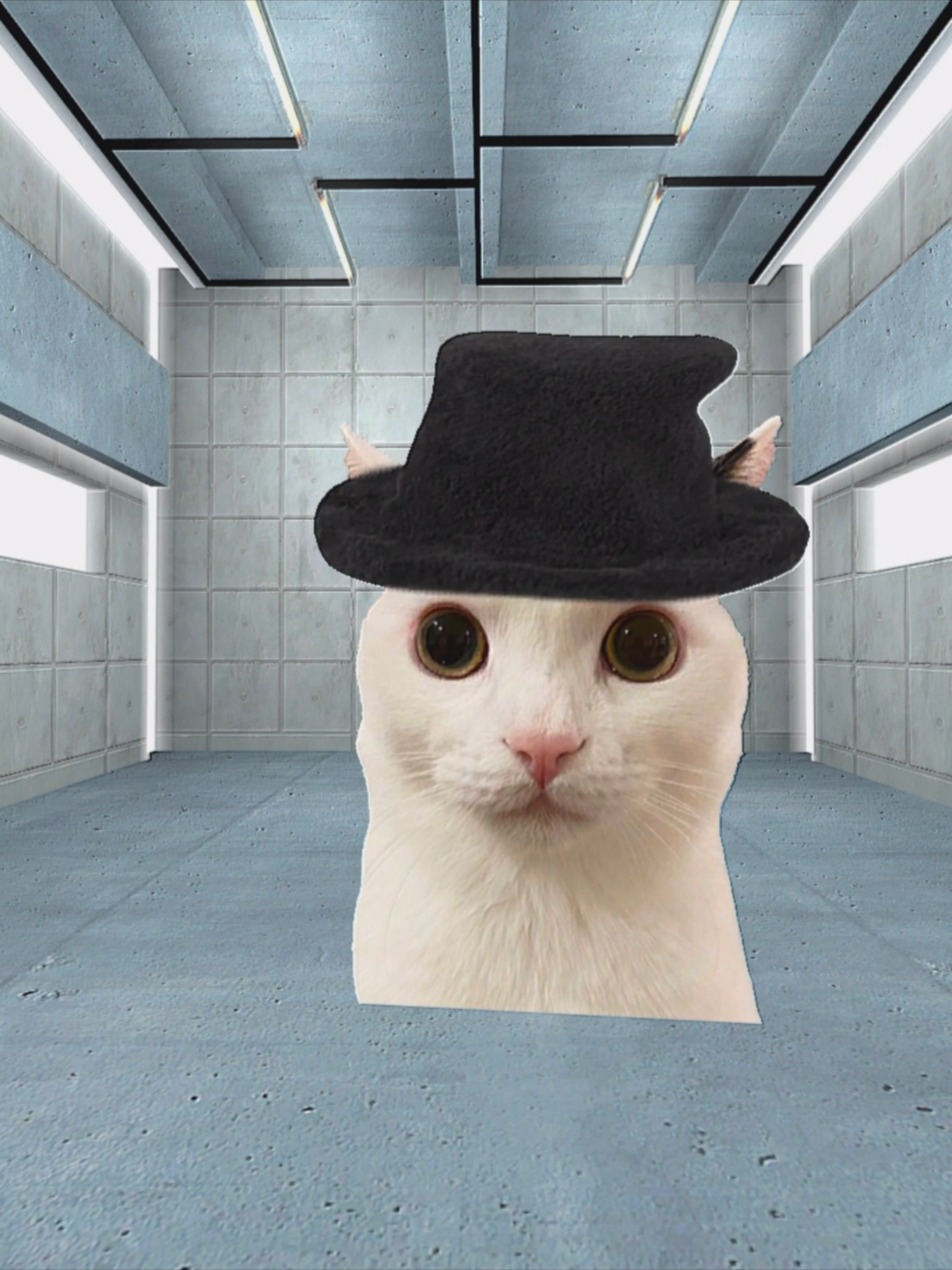 Virtual Insanity Cat 🐱 #まつもとたける #jermbo #jamiroquai #fyp #catmeme #gmod