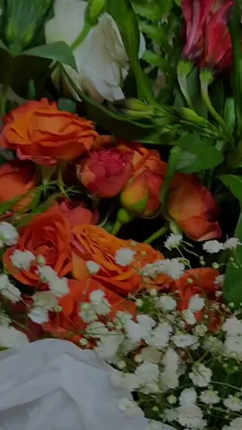#مساء_الخير #لحظة_فرح 