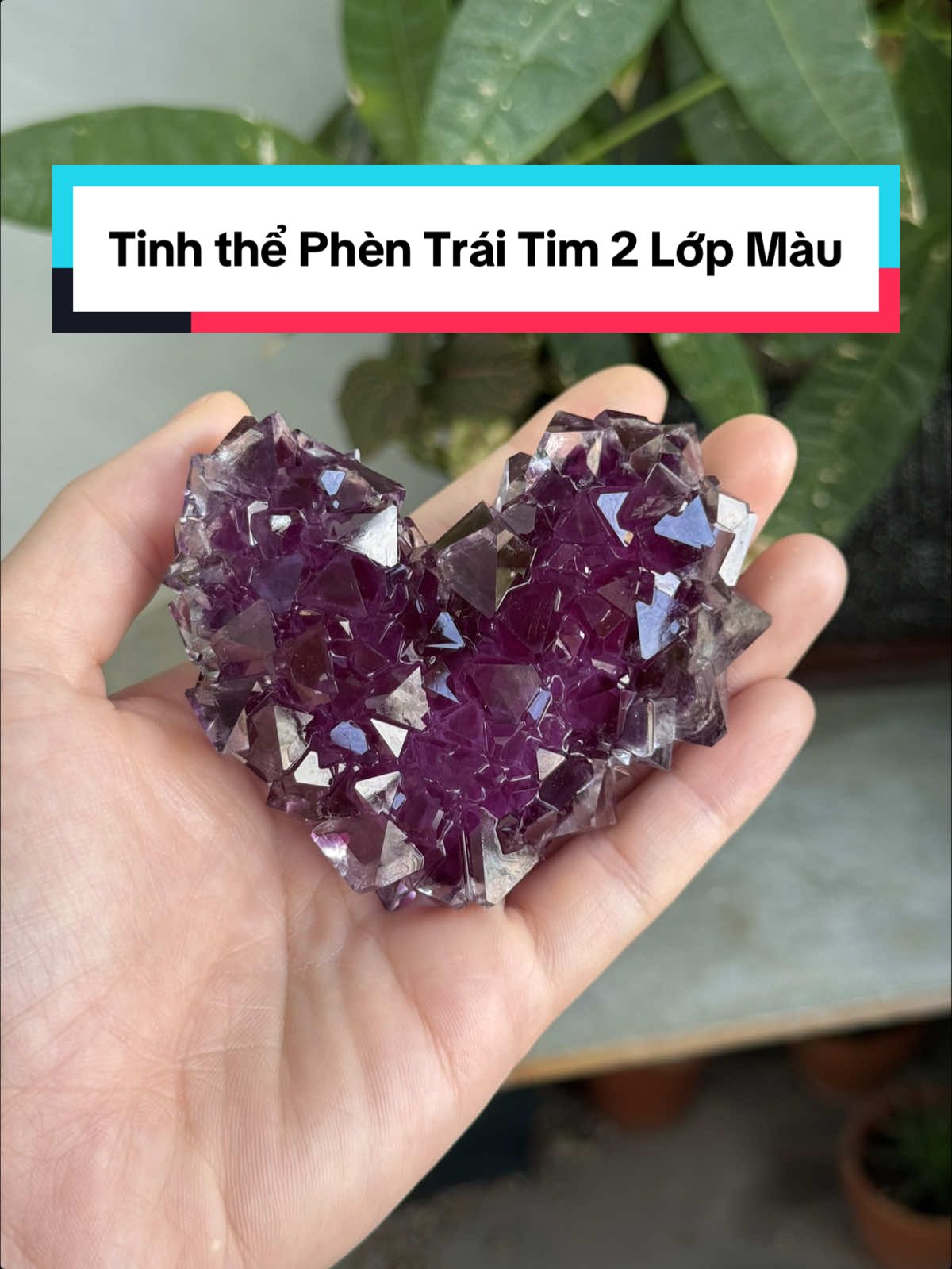 Nuôi tinh thể Trái tim Phèn 2 lớp màu #tiemtinhthepaoen #tinhthe #pecpaoen 