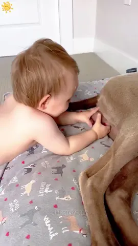 The child’s behavior was put on the dog’s ‘blacklist’ #dog #funny #funnydog #doglover #child 