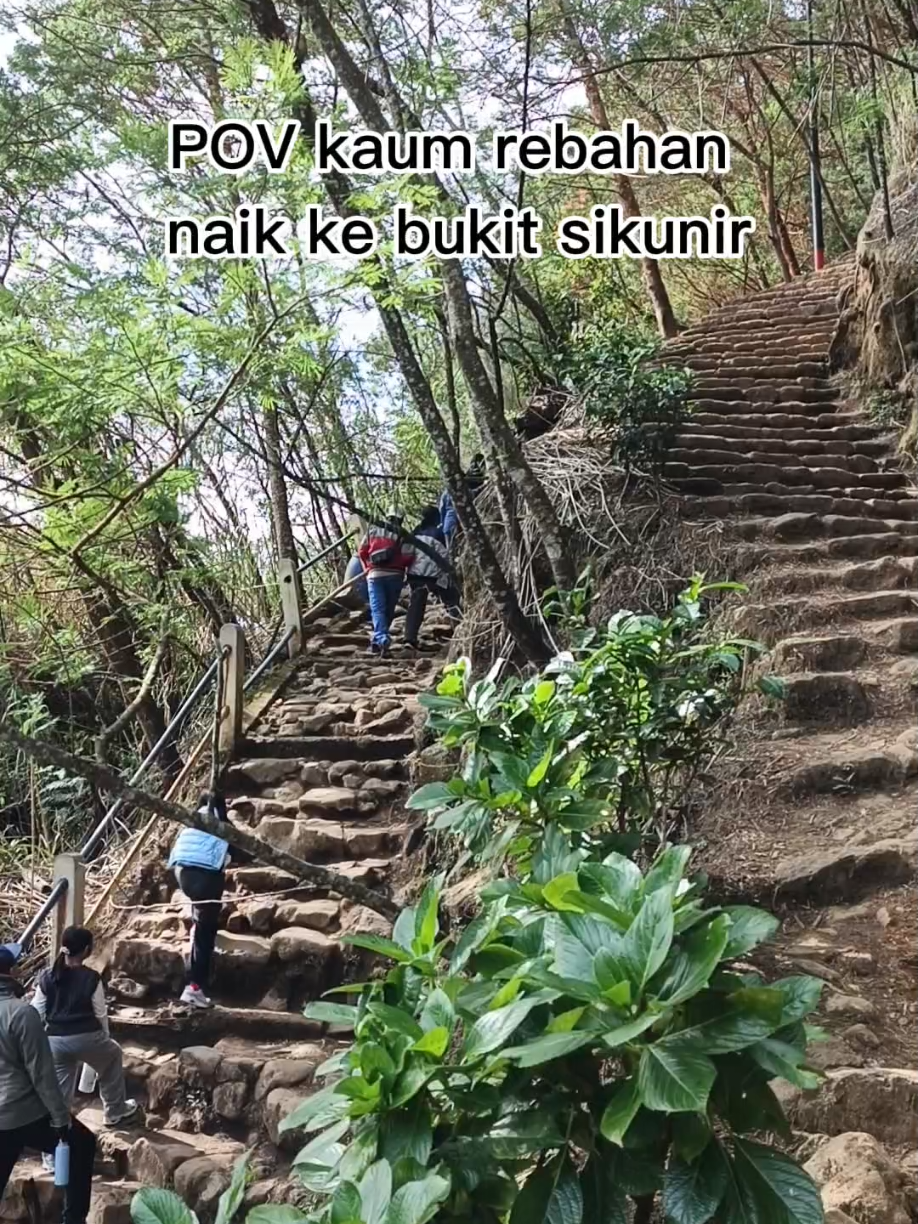 pernapasan naik bukit sikunir #fyp #fyppppppppppppppppppppppp  #dieng #sikunir #wisata 