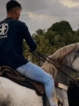 Prft 😍😌 #kaiojorge #roçaafazenda #cavalo #kaiojorge #vaiprofycaramba #foryoupage 