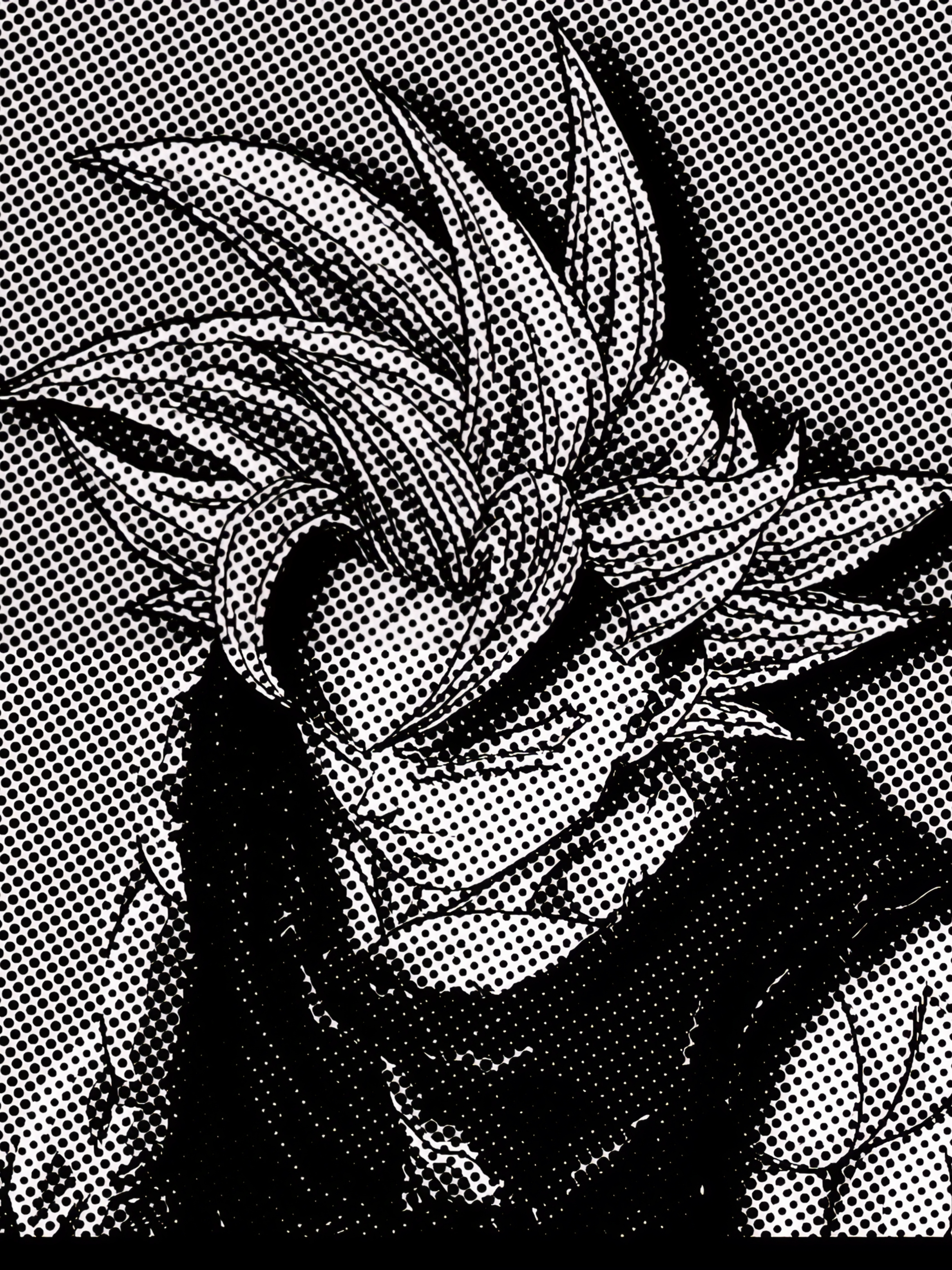 Goku#animeedit #fypシ #fypシ゚viral #Toji #Jujutsu #jujutsukaisen #naruto #goku #dbz #gojo #bluelock #bachira #Soccer #fyp
