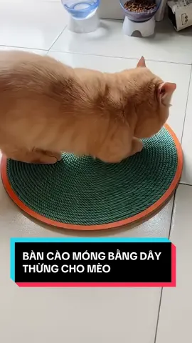 Tính ra có vài chục cành mà sài cả năm. Vừa sạch nhà vừa tiết kiệm cả đống tiền đó mí sen #ilovetiktok #tiktokviral #tiktokshop #trending #hot #viral #bancaomongchomeo #bancaomongchothucung #bancaomongbangdaythung #bancaomongdaythungtaisinh 