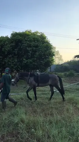 galloping on saturday morning #fyp