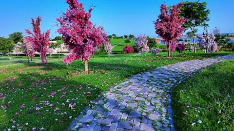 شاطئ التلال الجبيل #الجببل_الصناعيه #الفناتير_الجبيل #الشرقية_الخبر_الدمام #الجبيل_الصناعية #ورده 