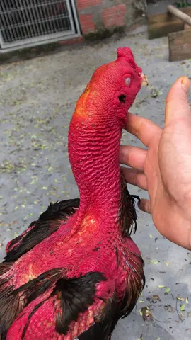 Chỉ có em mới làm ae vững tâm 🥰