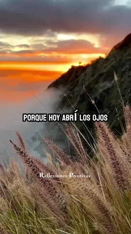 #ORACIÓN #Reflexiones #amor #fe #amorpropio #vida #reflexion #reflexionesdelavida #Biblia #newyork #newyorkcity 