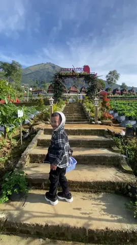Tadabur alam Petik stroberyy yukss😆  #nepalvanjava #jeepnepalvanjava #magelang #magelang24jam #fy #fyp #fypシ #fypage #fypp #fypシ゚viral🖤tiktok #fypppppppppppppp #CapCut 