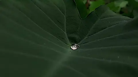 💧#CapCut 