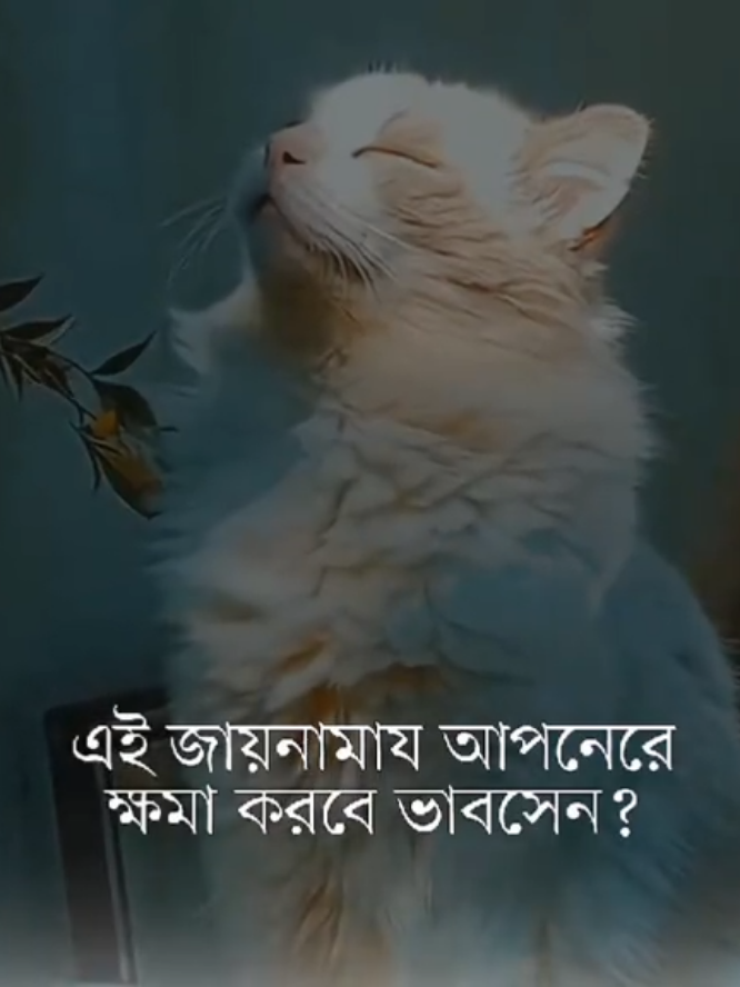 মনে রাখবেন - কড়ায় গন্ডায় সব হিসাব এই পৃথিবীতেই মিলবে!! #islamic_diary3 #alaminofficial2 #alaminofficial0 #allah 
