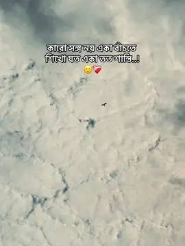 - কারো সঙ্গ নয় একা বাঁচতে শিখো যত একা তত শান্তি..!🙂❤️‍🩹#fyp #foryou #foryoupage 
