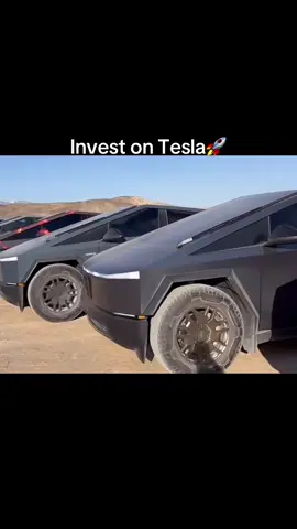 Invest on Tesla 🚀 #elonmusknews #elonmusk #elon #austria #romania #hungary #thailand #belgium 
