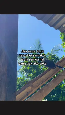 Bisa kan sayang?