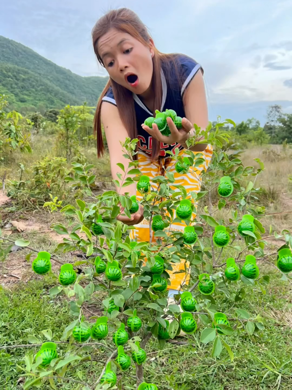 Survival candy in forest #bushcraft #camping #Outdoors #ideas 