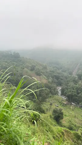 MaasyaAllah indah sekali✨💚 📍DONGGIA HILLS. #bulukumba #sulsel #kahayya  #fypp #foryou #xbcyza #masukberandafyp #trend #kindang 