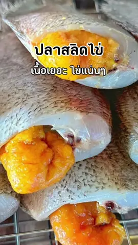 #ปลาสลิดไข่แดดเดียว #ปลาสลิด #สินค้าขายดีในติ้กต้อก 
