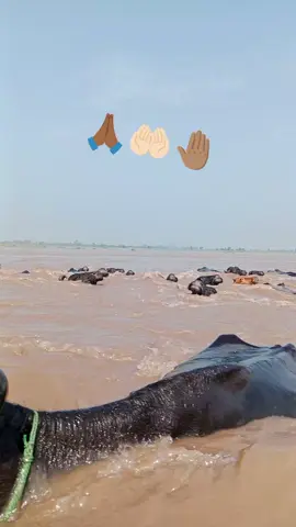 #🤚 
