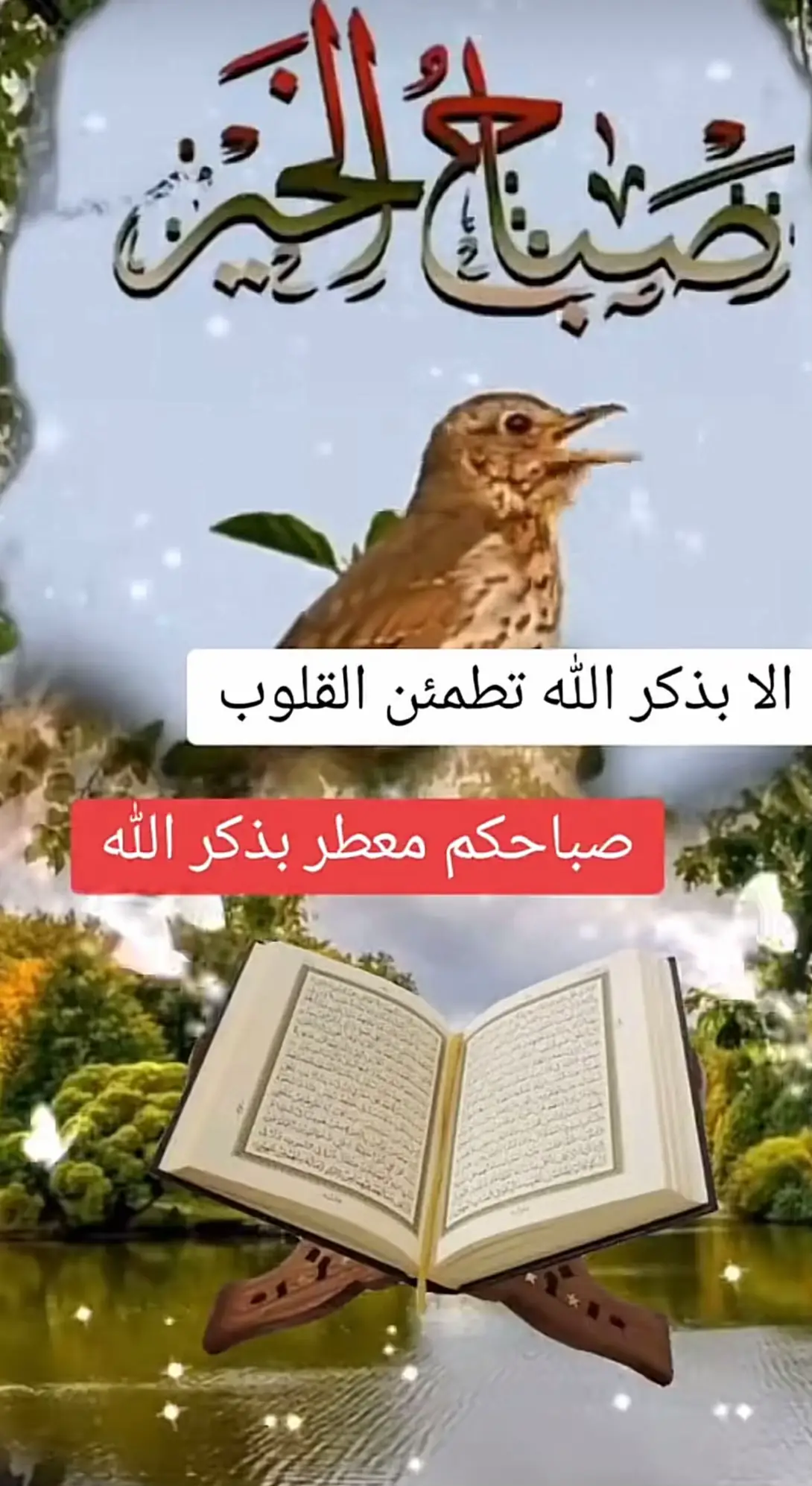 #صباحكم-معطر-بذكر-الله☝️🙏🤲💕🌹😍🕊️ #استمعوا_بقلوبكم_الي_القرآن_الكريم❤️❤️  #اللهم_صل_وسلم_على_نبينا_محمد  #القران_الكريم_راحه_نفسية😍🕋 