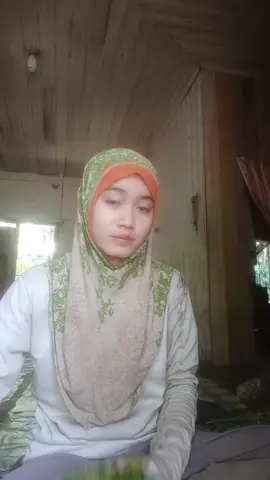 ikat pakis 