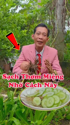 Hơi Thở Thơm Phức Khi Làm Cách Này #nhipsongmoi #meovat #nsm 