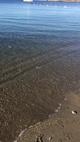#yahşi #ortakent #bodrum 