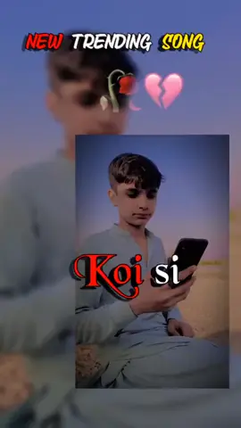 🌹🌹🌹🌹🌹🌹🌹🌹