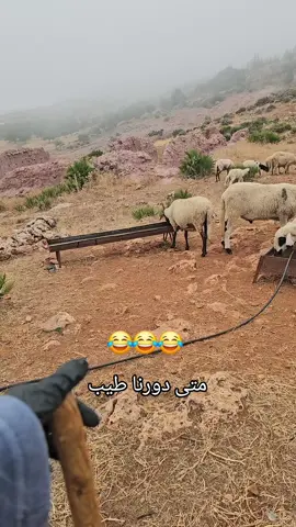 😂😂مقلب هو 