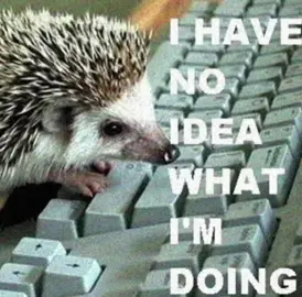#hedgehog #еж #fyp #star #щп 