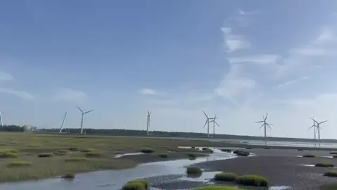 Gaomei Wetlands ☀️ #qinshui#taichung 