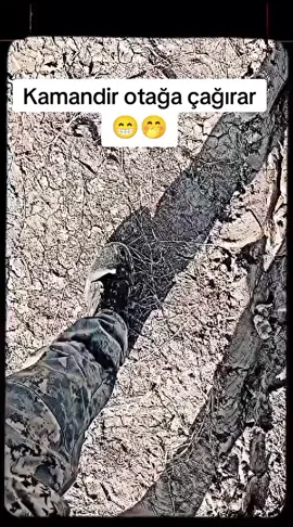 #🤣🤣🤣🤣🤣🤣🤣🤣🤣🤣🤣🤣🤣🤣🤣🤣  Görəsən axrı nolacaq 🫣😁🤭