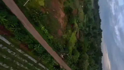 yang lagi trand sound pacu jalur from Riau yang mendunia 🔥🔥🔥 📹@yaniscreamous  #foryoupage #dronedesa #pacujalur #pilotdrone #dronefpv 